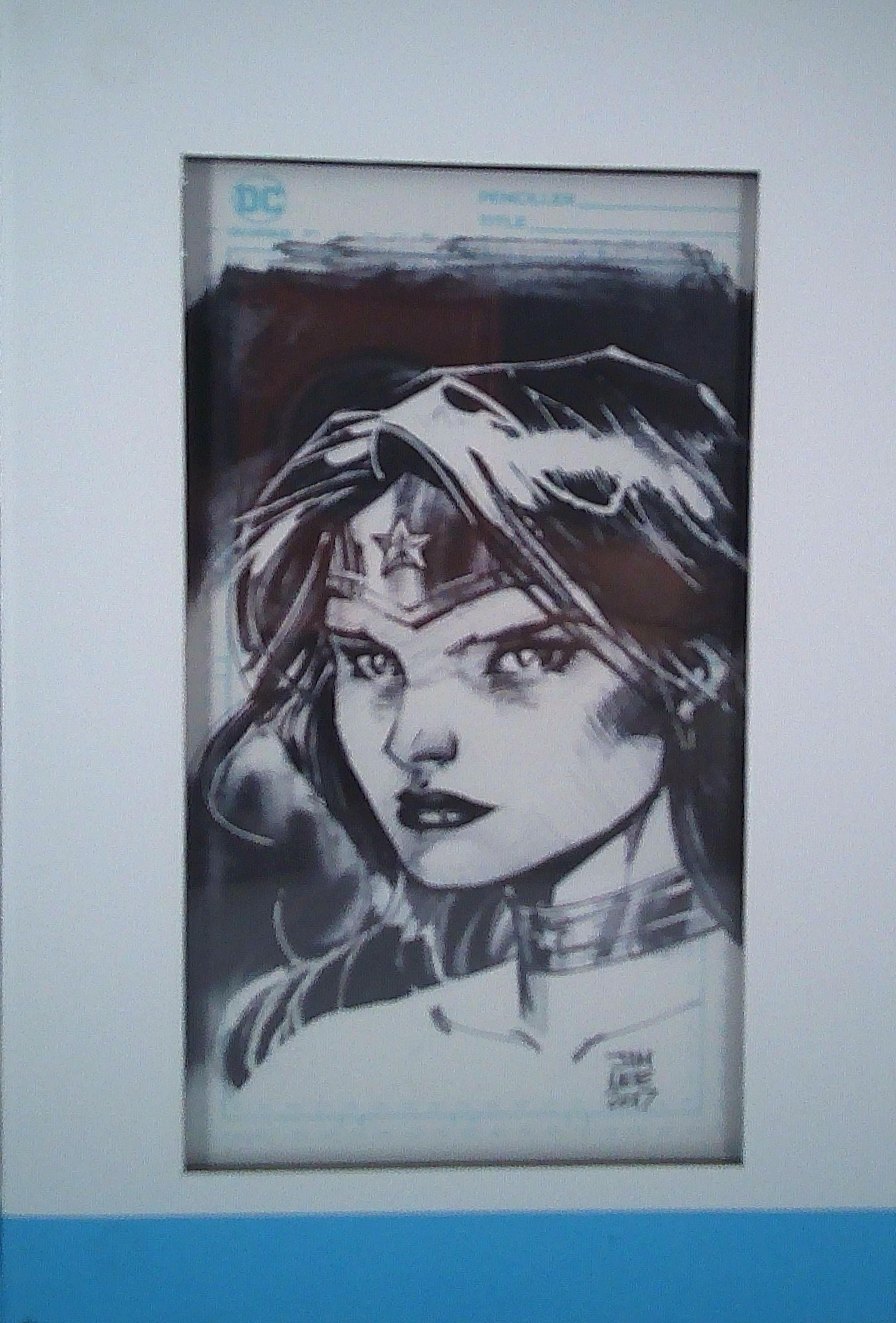 Wonder Woman "Blue Line" DC Collectables Jim Lee Variant