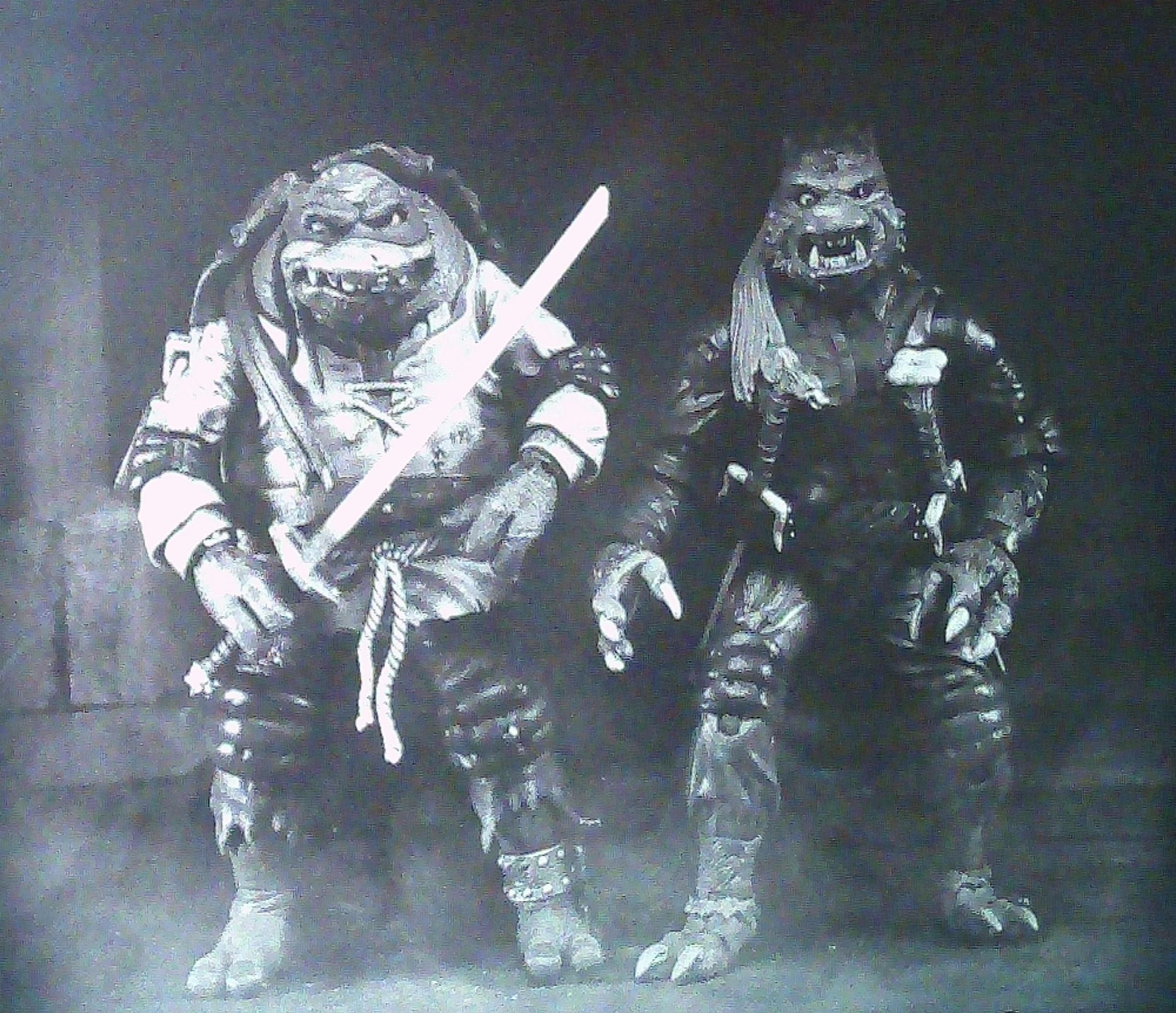 Leonardo  & Raphael as "The Hunchback and the Wolfman" 2 pack 7" figures NECA